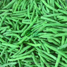 Высококачественный IQF Frozen Whole Green Bean